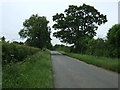 Chelveston Road towards Stanwick