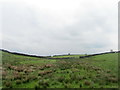 Head of the Black Scar Beck Valley