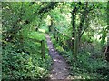 Avon Valley Footpath