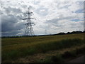 Pylons near St Ippollytts