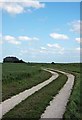 The path to Pagelsham Jetty