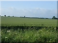 Farmland off the Roman Road