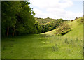 Valley below Greenwick Farm