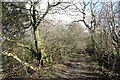 Path, Chatelherault