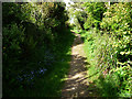 Path to Carn Euny