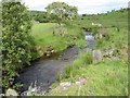 Afon Nant Fach