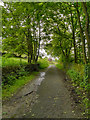 Pennine Bridleway, Brushes