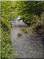 Swineshaw Brook, Outlet from Brushes Reservoir