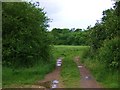 TL2080 : Farm track near Monk's Wood by JThomas