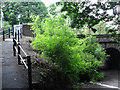 Back entrance to Strines Station