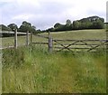ST6552 : Five-barred gate, Chilcompton by HelenK