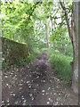 Bridleway - Scotland Mill Lane