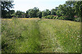 Chetnole: field path