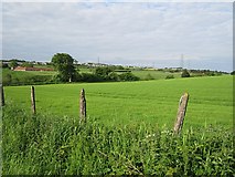 NT1168 : Field, Whitehill by Richard Webb
