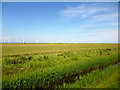 TQ9620 : View towards wind farm by Robin Webster
