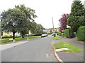 Scotland Wood Road - viewed from Alderton Mount