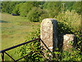 Gateposts near Thorn