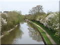 The Grand Union Canal near Aldbury