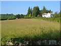 House near Teigncombe