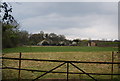 Farmland by Hornshill Lane