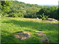 Rocky field above the Teign