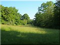 Meadow by the North Teign