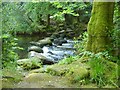 Stepping stones across the North Teign