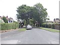 The View - viewed from Edgbaston Walk