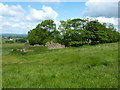 The ruins of Beeley Barn