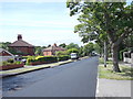 The Avenue - viewed from The Grove