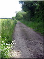 Footpath towards Mursley