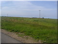 Fields by Old Montsale farm, Dengie Marsh