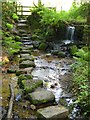 Stepping stones near Murchington