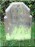 TL1706 : Emily Evans Grave, Hill End Hospital Cemetery, St Albans by Chris Reynolds