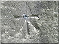 Ordnance Survey Cut Mark with Bolt