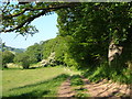 Taw-Teign Link near Chagford Bridge