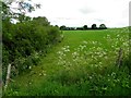 Tullanafoile Townland