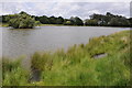 TQ2073 : Pen Ponds, Richmond Park by Philip Halling