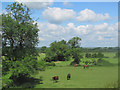 The Fields North of Startops Reservoir, Near Tring