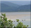 View across the Afon Dyfi estuary