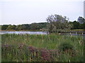 Shibdon pond