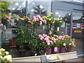 Display of flowers outside Squires, Halliford Road