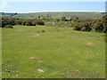 Moorland near Moortown