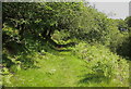 The Gower Way footpath near Lower Lliw reservoir