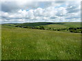 Hayfields above Harvey Gate