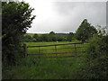 Field just off Workhouse Lane