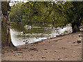 SD8303 : Heaton Park Lake by David Dixon