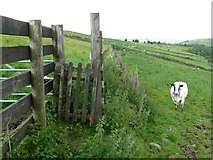 SD9923 : Footpath gate at Hill Top Farm by Humphrey Bolton