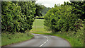 The Moira Road near Hillsborough