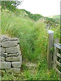 SE0023 : The western end of Hebden Royd FP88 at Upper Lumb by Humphrey Bolton